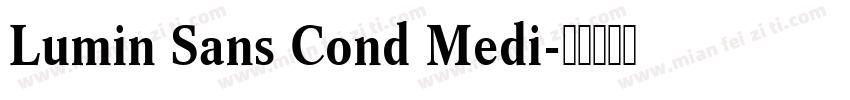 Lumin Sans Cond Medi字体转换